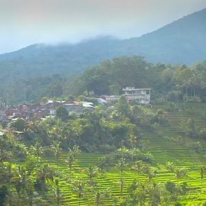 Meet your Posher, Jarylis